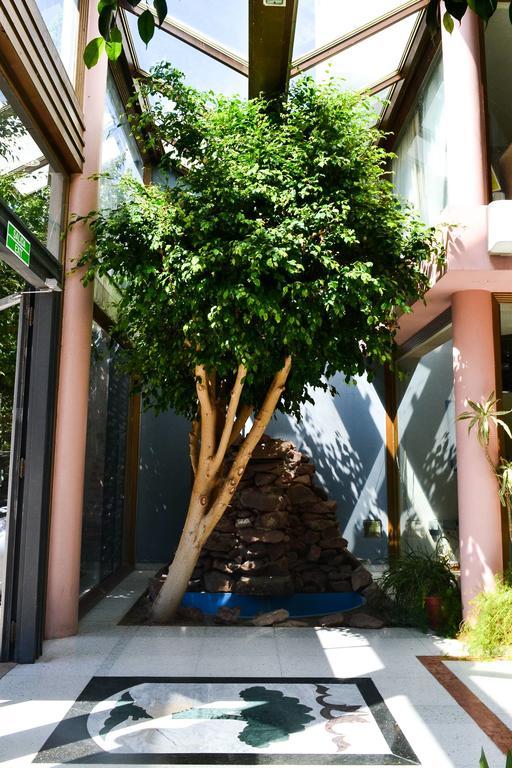 טרלאו Argenta Apart Hotel מראה חיצוני תמונה